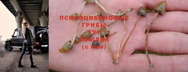 мдма Касимов