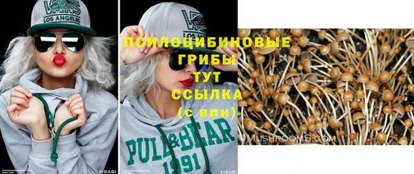 прущая мука Карпинск